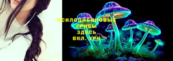 мдпв Богородицк