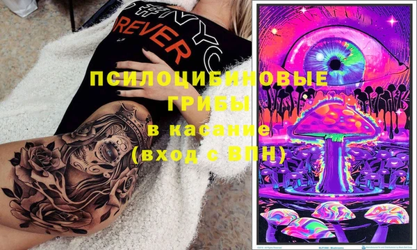 мдпв Богородицк