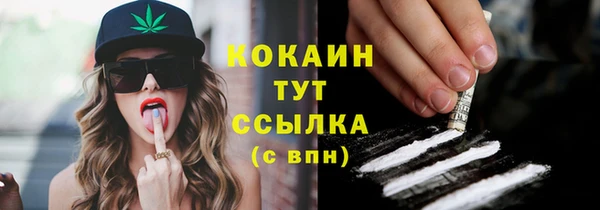 мдпв Богородицк