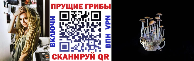 Псилоцибиновые грибы MAGIC MUSHROOMS  Купить закладки  Видное 